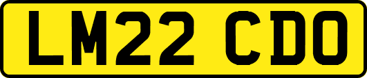 LM22CDO