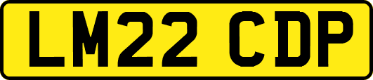 LM22CDP