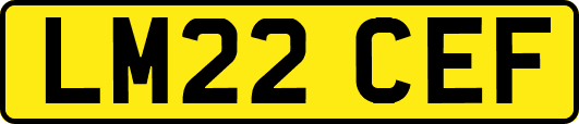 LM22CEF