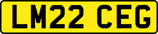 LM22CEG