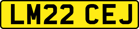 LM22CEJ