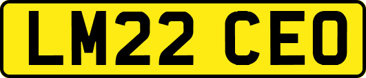 LM22CEO