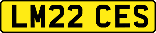 LM22CES