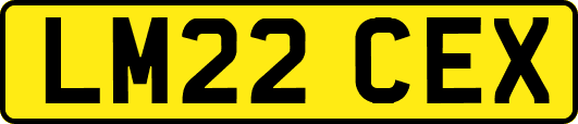 LM22CEX