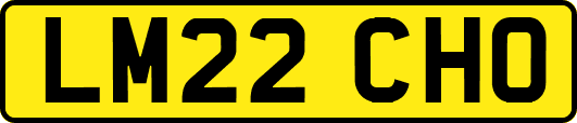 LM22CHO