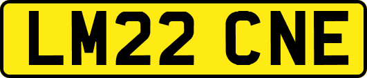 LM22CNE