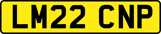 LM22CNP
