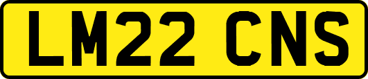 LM22CNS