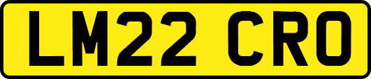 LM22CRO