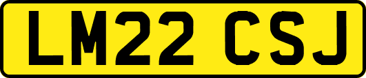 LM22CSJ