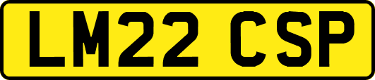 LM22CSP