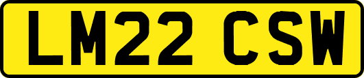 LM22CSW