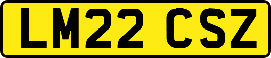 LM22CSZ