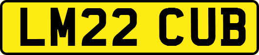 LM22CUB