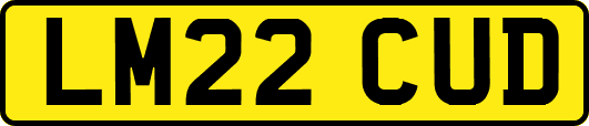 LM22CUD