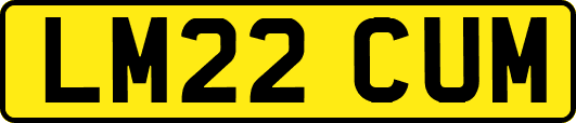 LM22CUM