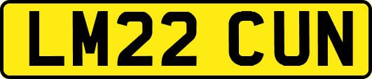 LM22CUN