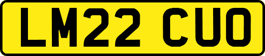 LM22CUO