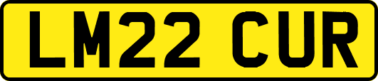 LM22CUR
