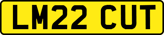 LM22CUT