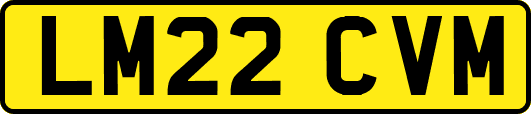LM22CVM