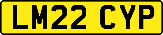 LM22CYP