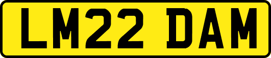 LM22DAM