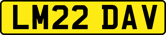 LM22DAV