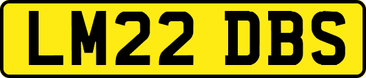 LM22DBS