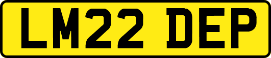 LM22DEP