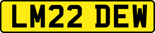 LM22DEW