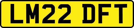 LM22DFT