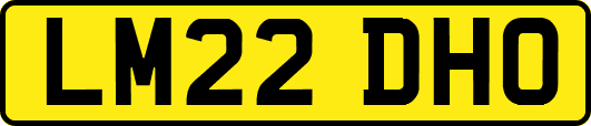 LM22DHO