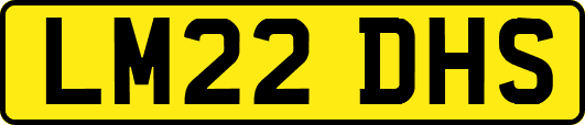 LM22DHS