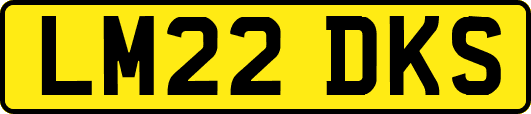LM22DKS