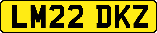 LM22DKZ