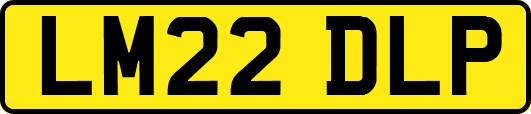 LM22DLP