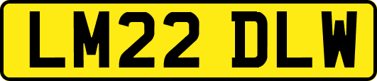 LM22DLW