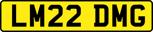 LM22DMG