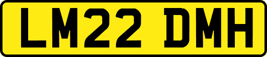 LM22DMH