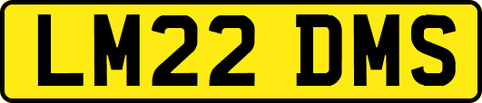 LM22DMS