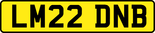 LM22DNB