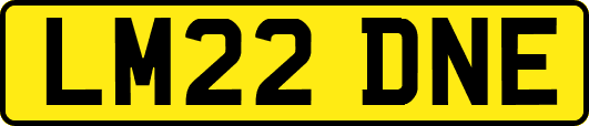 LM22DNE
