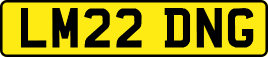 LM22DNG
