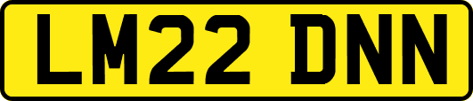 LM22DNN