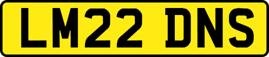 LM22DNS