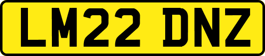 LM22DNZ