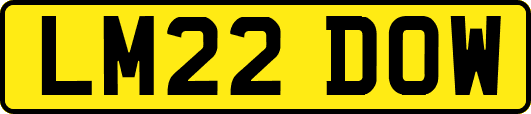 LM22DOW