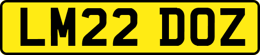 LM22DOZ