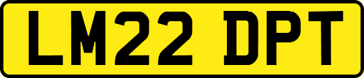 LM22DPT